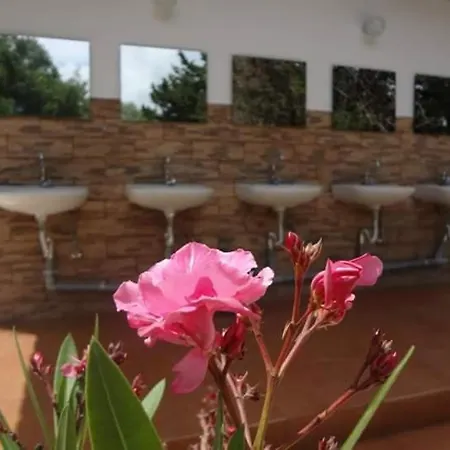 キャンプ場 Camping Argostoli アルゴストリオン