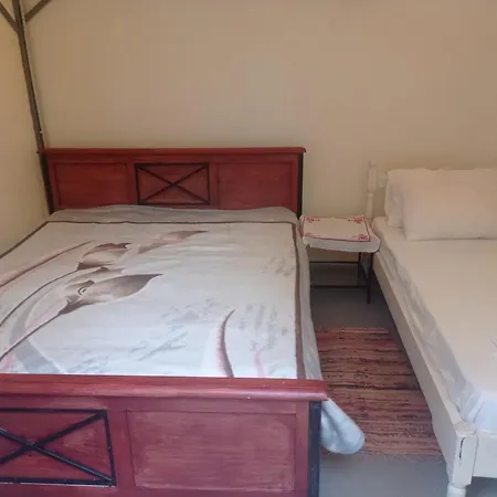 Camping Argostoli キャンプ場 *