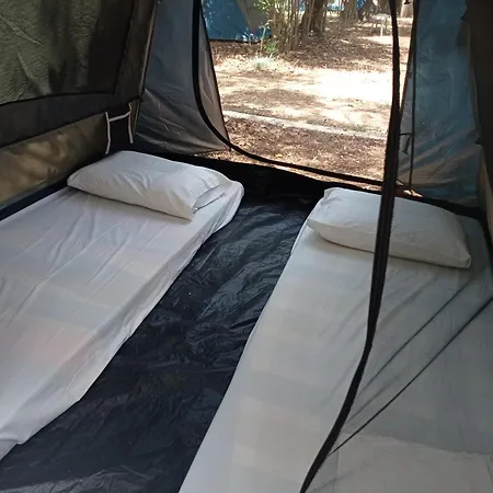 Camping
